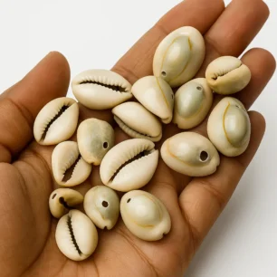 Natural Cowrie/Kaudi/Kowdi/Koudi Shells – White Seashells for Craft, Art, Jewellery Making, Home Décor & Puja | Set of 21